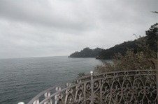 Enlarge photo 203
