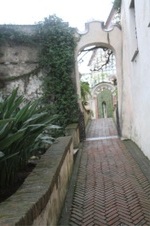 Enlarge photo 205