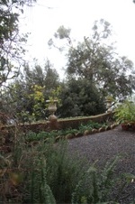 Enlarge photo 206
