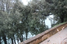 Enlarge photo 208