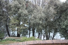 Enlarge photo 209