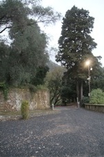 Enlarge photo 213