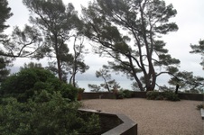 Enlarge photo 19