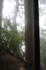 Enlarge photo 43