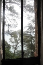 Enlarge photo 45