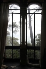 Enlarge photo 50