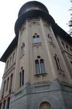 Enlarge photo 61