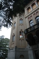 Enlarge photo 62