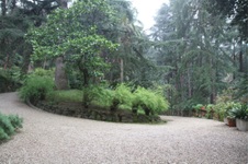 Enlarge photo 65