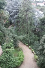 Enlarge photo 130