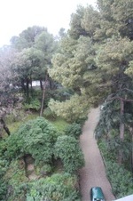 Enlarge photo 137