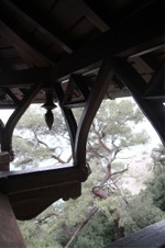 Enlarge photo 147