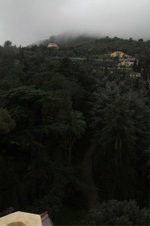 Enlarge photo 165