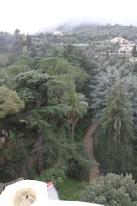 Enlarge photo 166