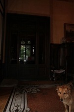 Enlarge photo 177