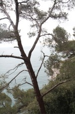 Enlarge photo 196