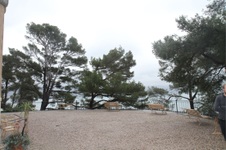 Enlarge photo 197