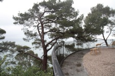 Enlarge photo 198