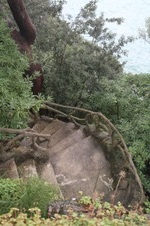 Enlarge photo 202