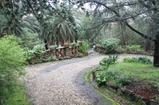 Enlarge photo 208