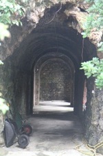 Enlarge photo 209