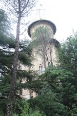 Enlarge photo 211