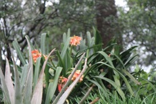 Enlarge photo 213