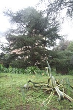 Enlarge photo 214