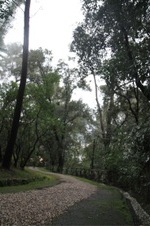 Enlarge photo 215