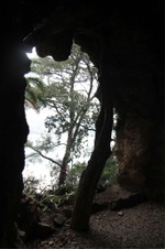 Enlarge photo 219