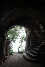 Enlarge photo 220