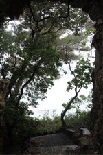 Enlarge photo 222