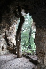 Enlarge photo 223