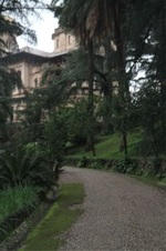 Enlarge photo 226