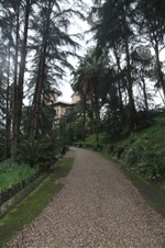 Enlarge photo 227