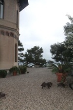 Enlarge photo 230