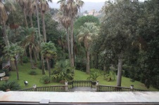 Enlarge photo 43