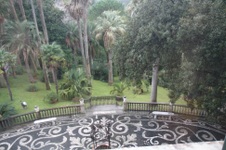 Enlarge photo 44