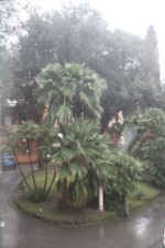 Enlarge photo 48