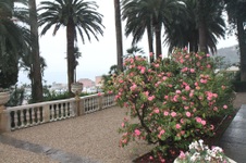 Enlarge photo 69