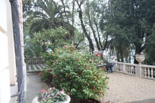 Enlarge photo 70
