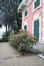 Enlarge photo 72