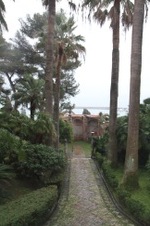 Enlarge photo 73