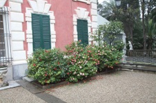 Enlarge photo 76