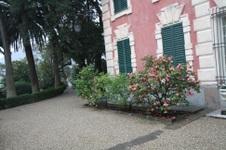 Enlarge photo 78