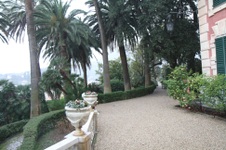 Enlarge photo 79