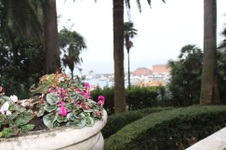 Enlarge photo 82