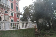 Enlarge photo 85