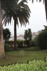 Enlarge photo 87