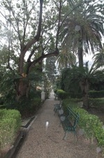 Enlarge photo 88